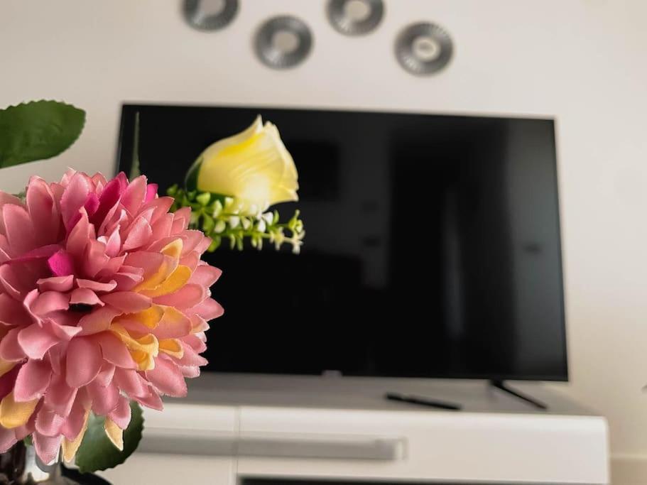 Apartment Holliday Refuge