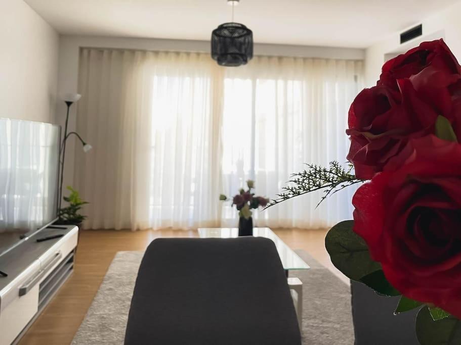 Holliday Refuge Apartamento